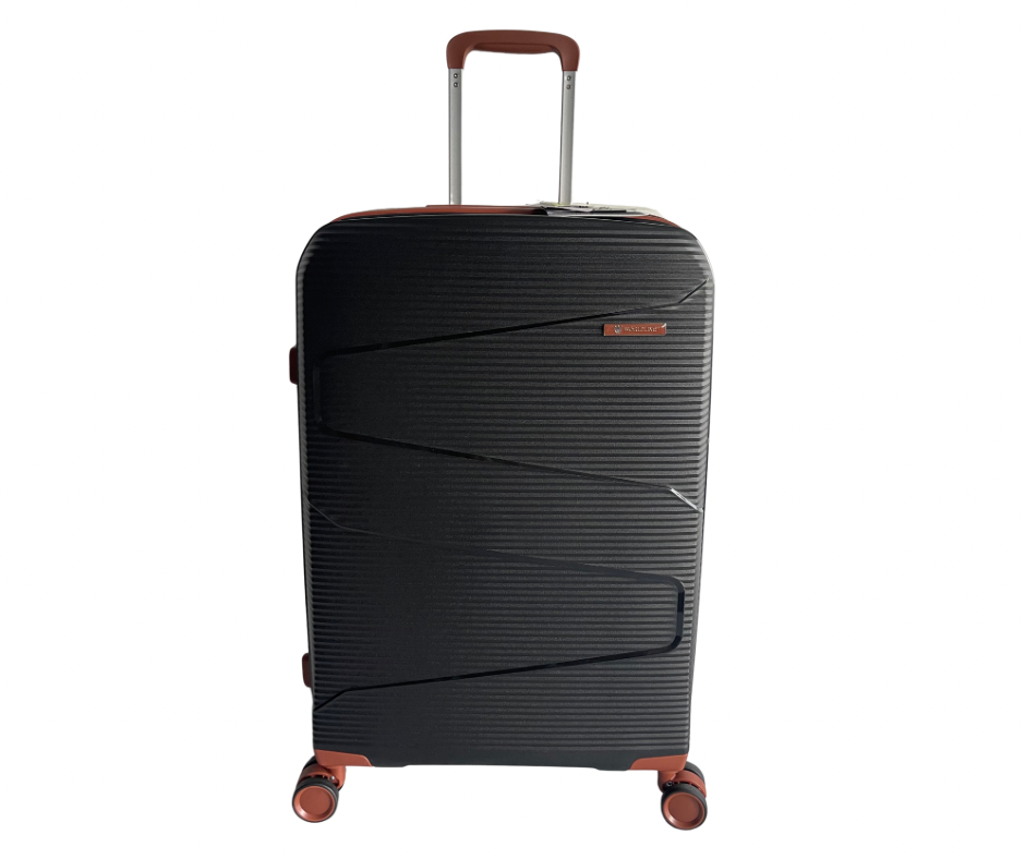 Lagaminas 293 black S